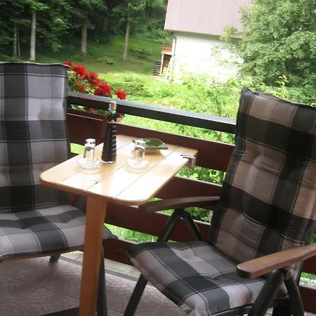 Apartment Medo Ravna Gora